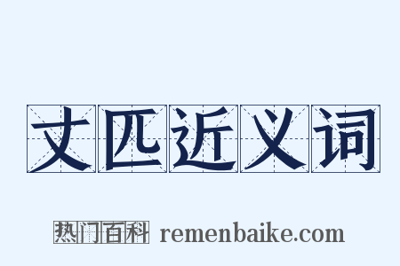 丈匹近义词是什么意思的图片